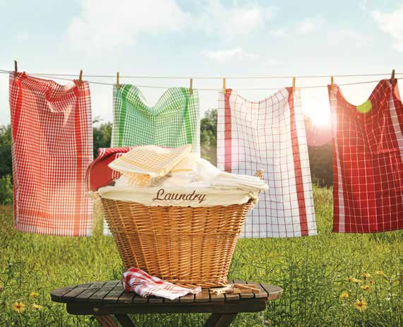 laundry detergent fundraiser